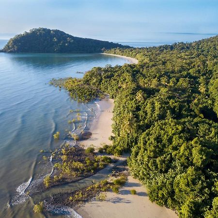Cape Trib Beach House Cape Tribulation Εξωτερικό φωτογραφία