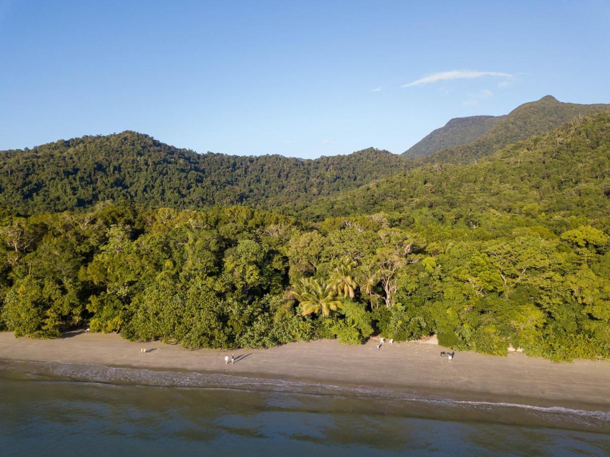 Cape Trib Beach House Cape Tribulation Εξωτερικό φωτογραφία