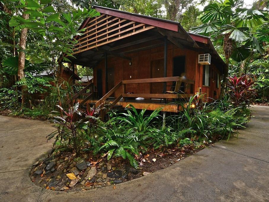 Cape Trib Beach House Cape Tribulation Εξωτερικό φωτογραφία