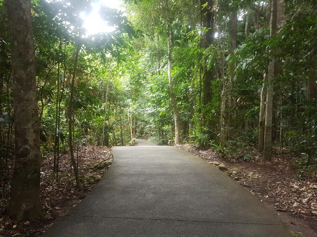 Cape Trib Beach House Cape Tribulation Εξωτερικό φωτογραφία
