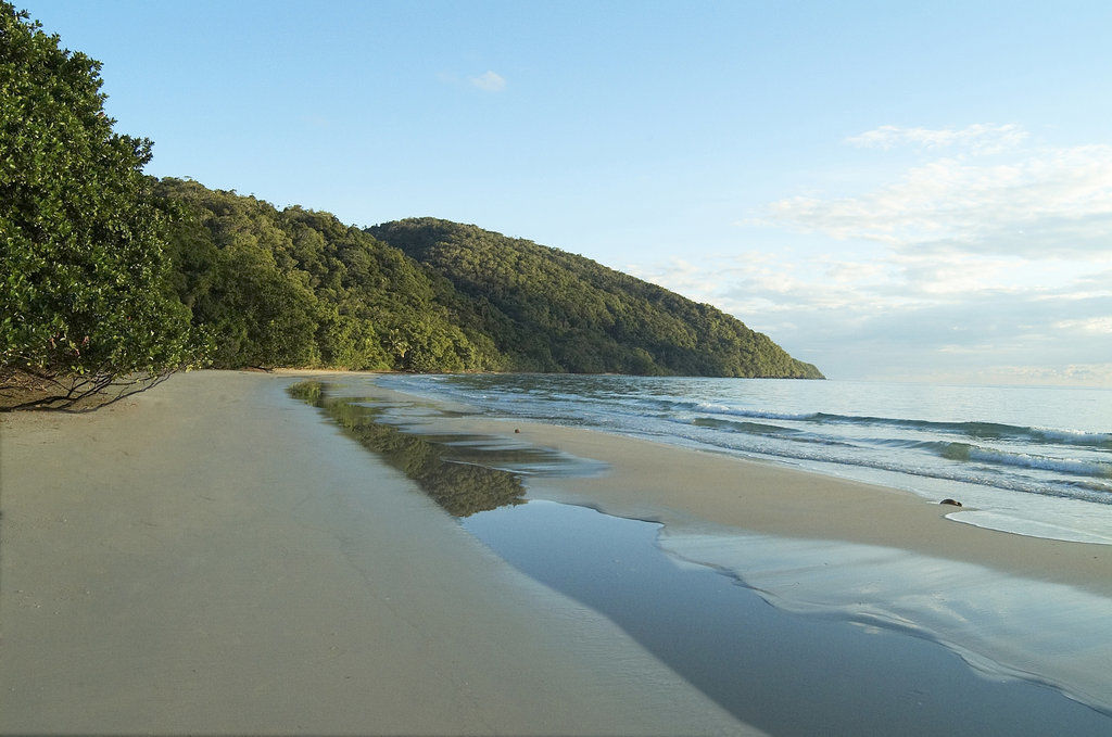 Cape Trib Beach House Cape Tribulation Εξωτερικό φωτογραφία