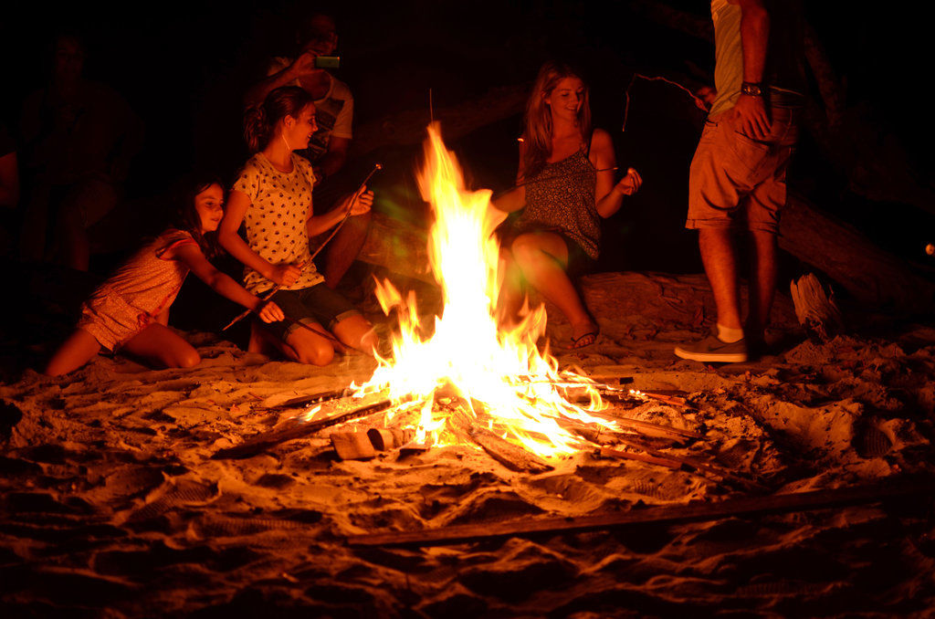 Cape Trib Beach House Cape Tribulation Εξωτερικό φωτογραφία