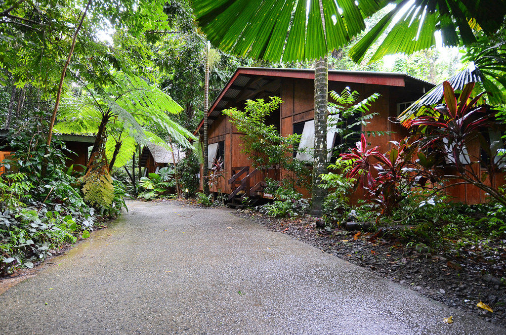 Cape Trib Beach House Cape Tribulation Εξωτερικό φωτογραφία