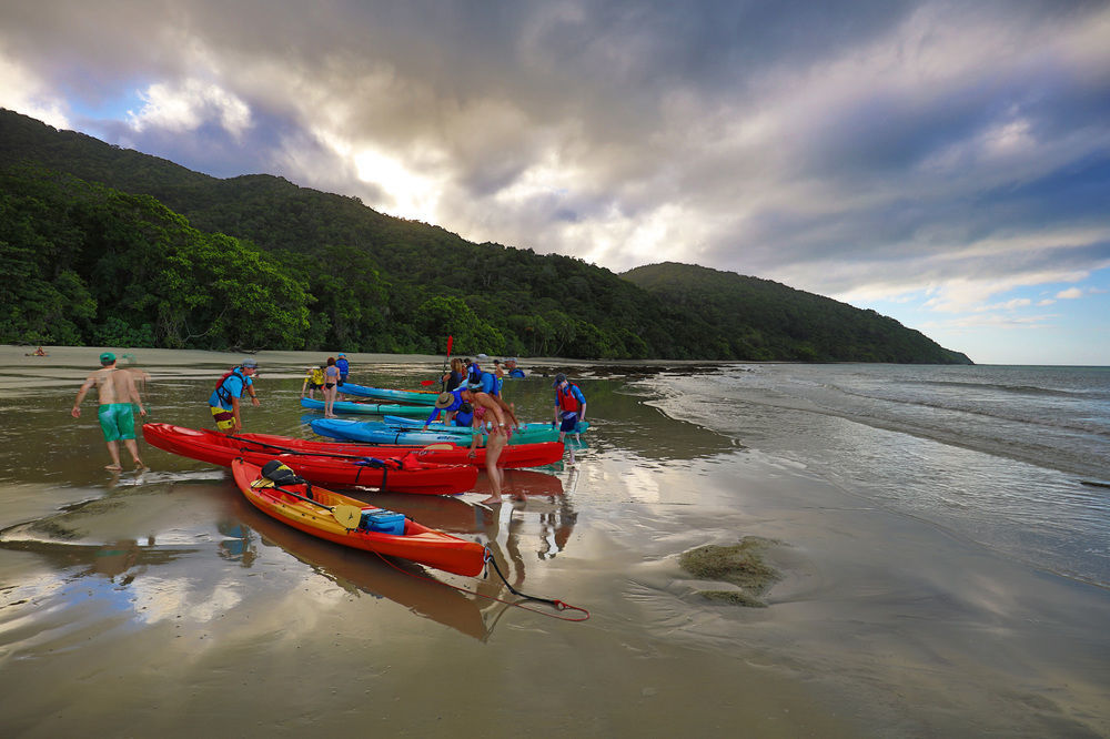 Cape Trib Beach House Cape Tribulation Εξωτερικό φωτογραφία