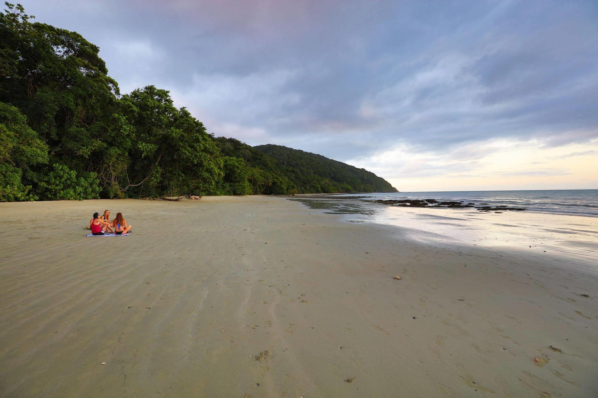 Cape Trib Beach House Cape Tribulation Εξωτερικό φωτογραφία