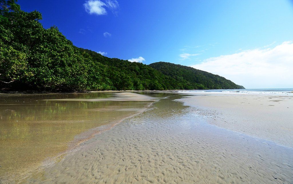 Cape Trib Beach House Cape Tribulation Εξωτερικό φωτογραφία
